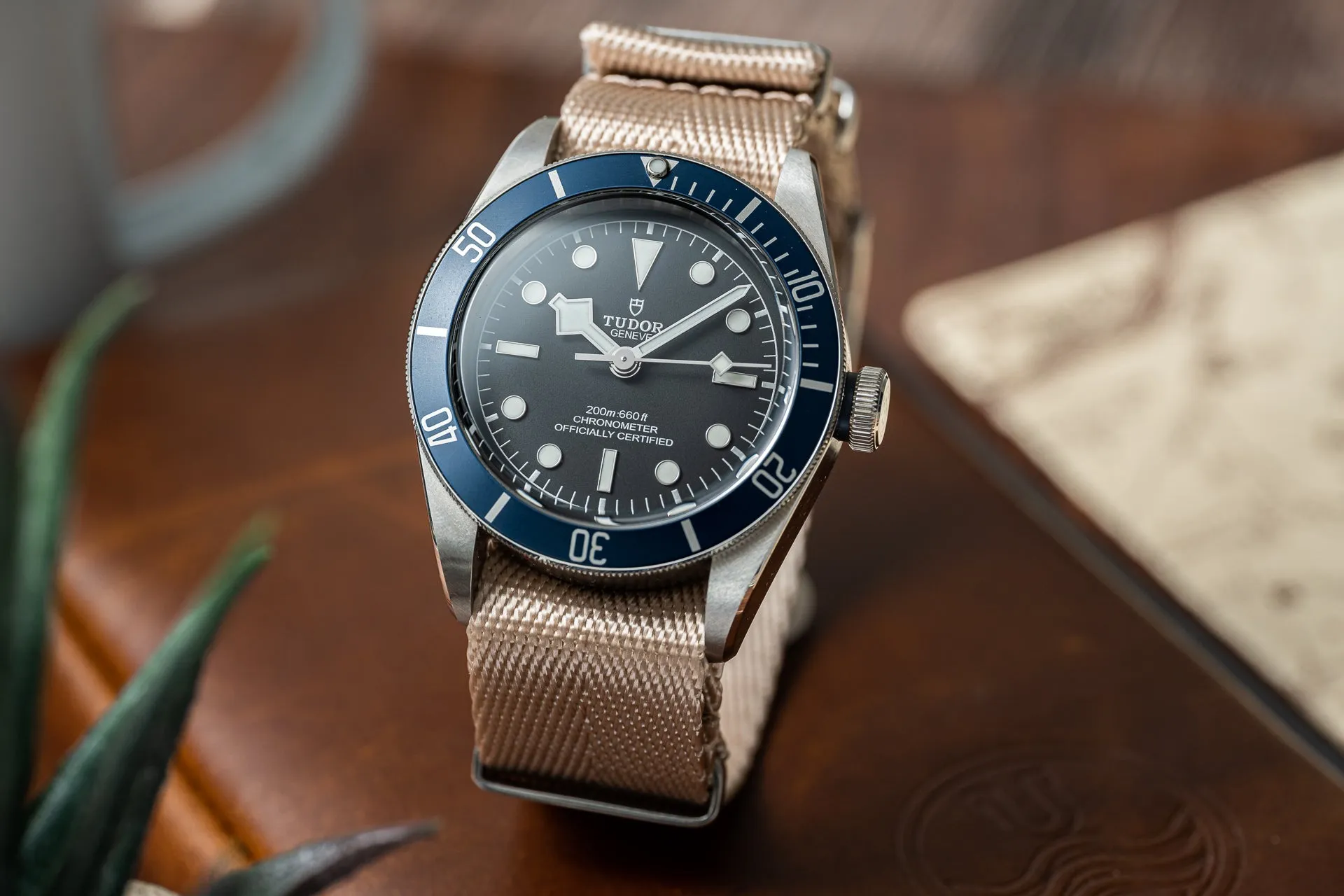 Herringbone Nylon Strap (20/22mm)