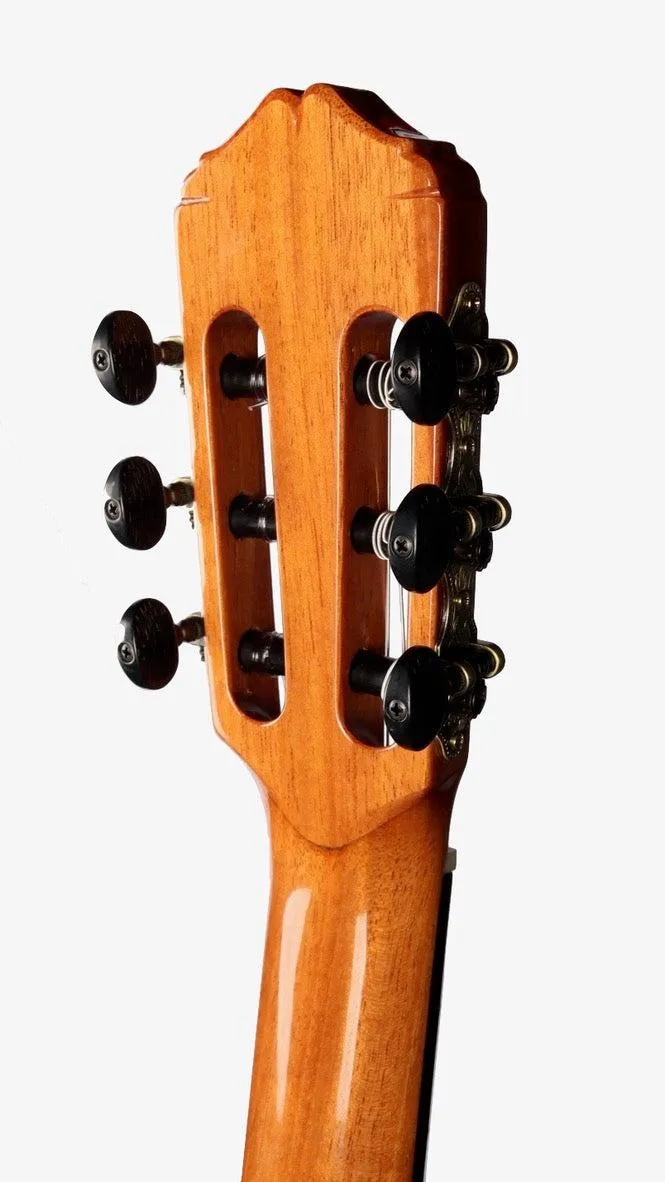 Lyon & Healy Classical Cedar / Grenadilla #190824