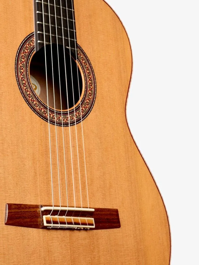 Lyon & Healy Classical Cedar / Grenadilla #190824