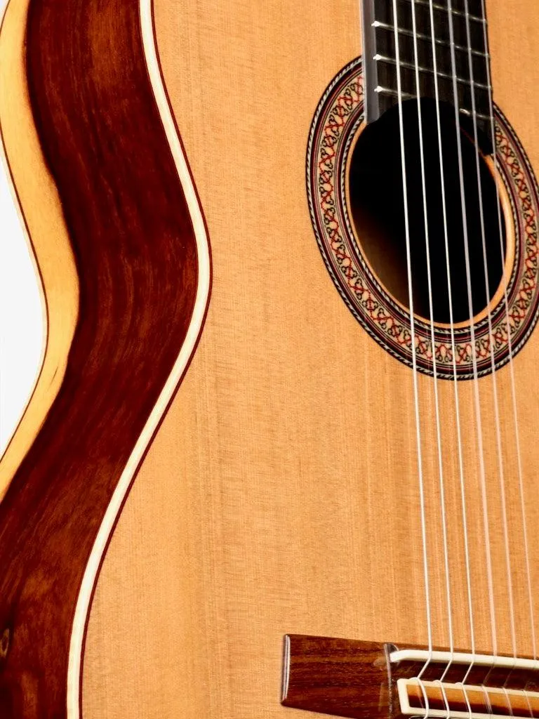 Lyon & Healy Classical Cedar / Grenadilla #190824
