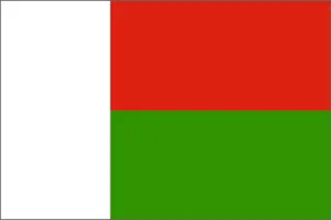 Madagascar National Flag Printed