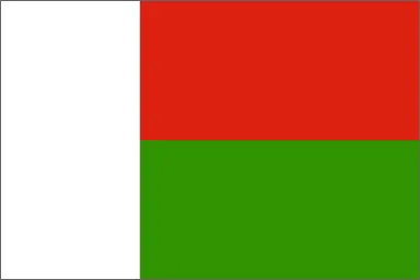 Madagascar National Flag Printed